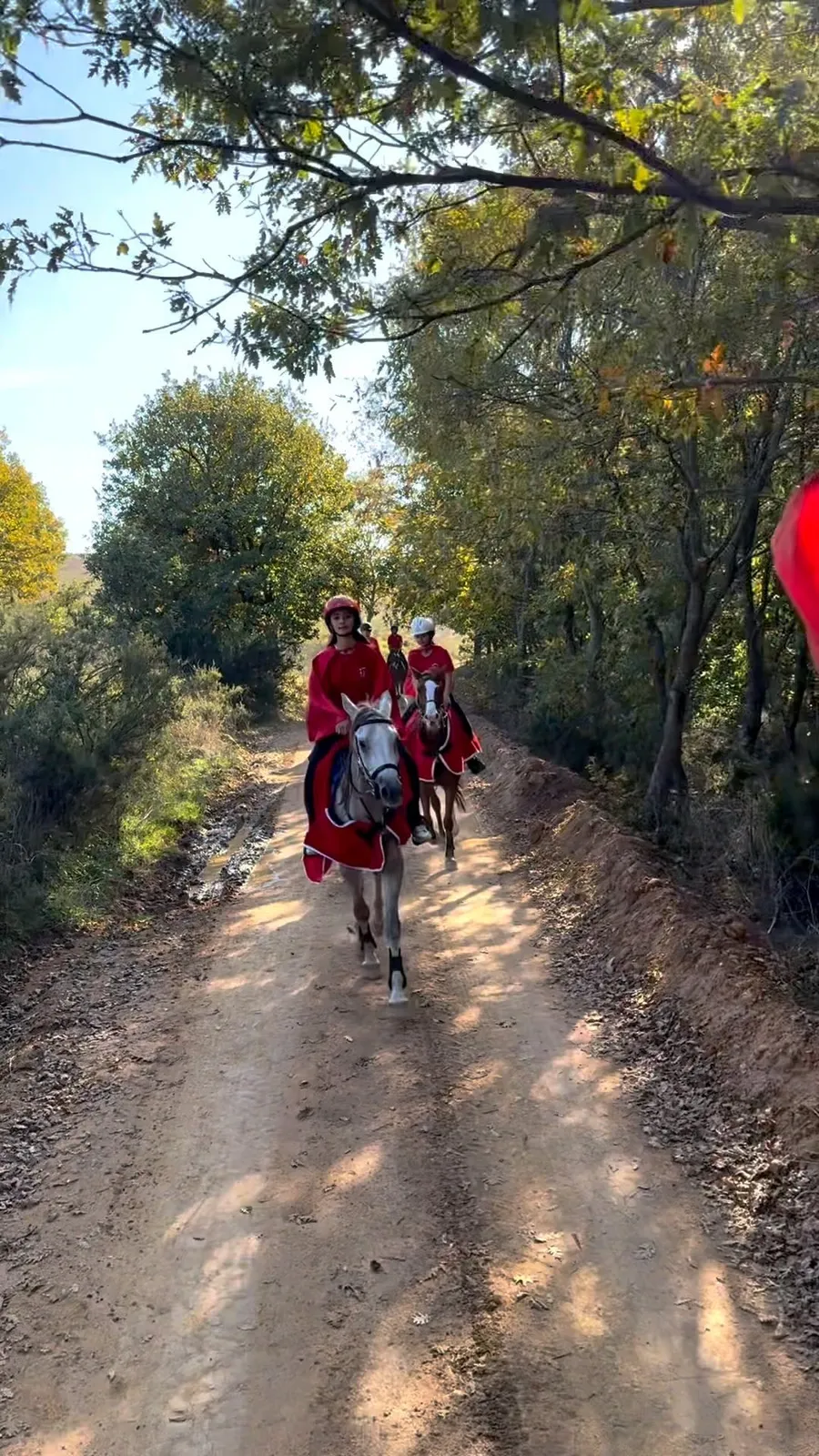 Orman rotalarında — Ballıca Atlı Spor Kulübü video